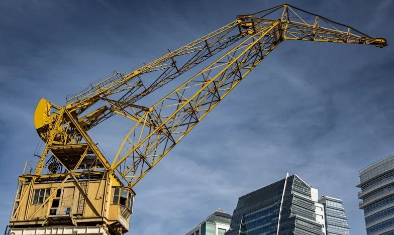 Een Familiehereniging Die Alles Veranderde