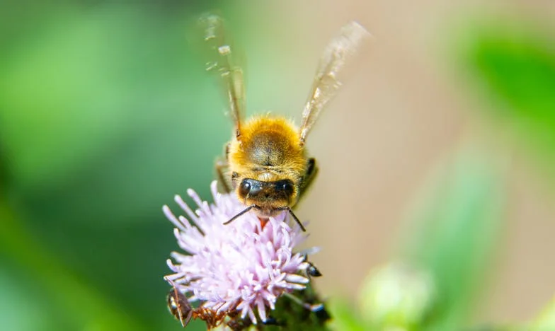 Een Zomer van Waarheid: Mijn Testament, Mijn Keuze