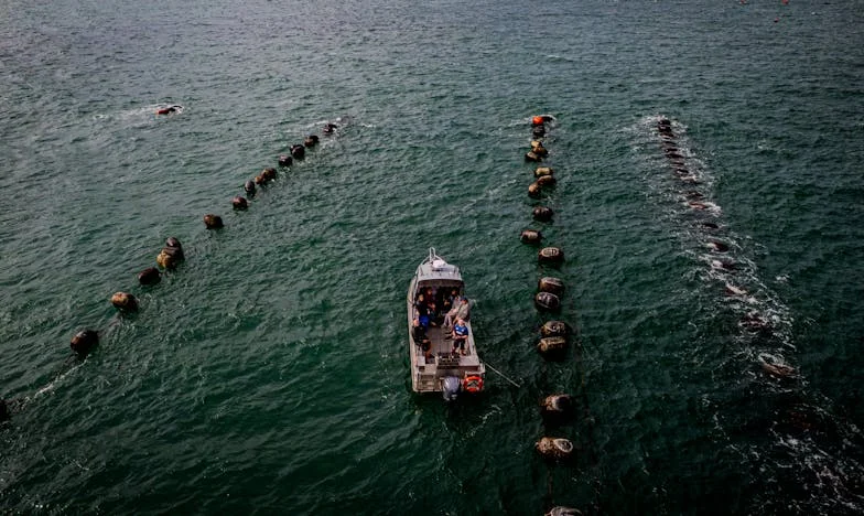 Help! Mijn man bracht zijn minnares thuis terwijl ik in het ziekenhuis lag