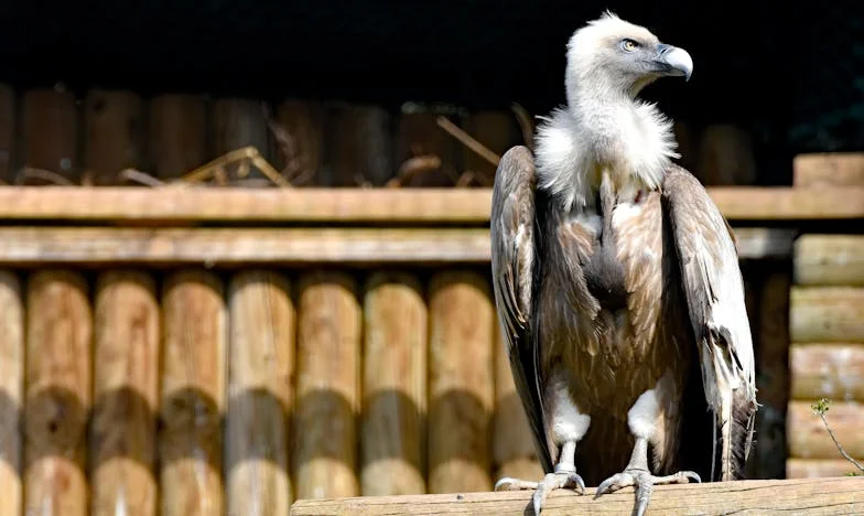 “Het huis is alleen voor jou? Dan zijn wij klaar.” – Hoe een erfenis mijn familie brak
