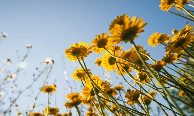 Het Huis van Mijn Moeder: Een Belofte Gebroken na Mijn Bruiloft