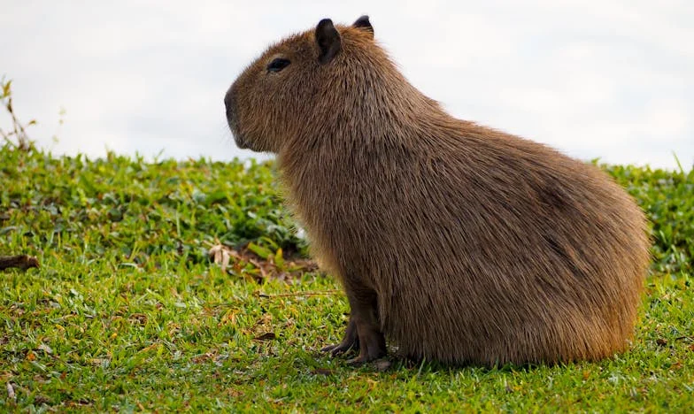 Het Verraad van Vertrouwen: Een Dochter Ontdekt de Waarheid