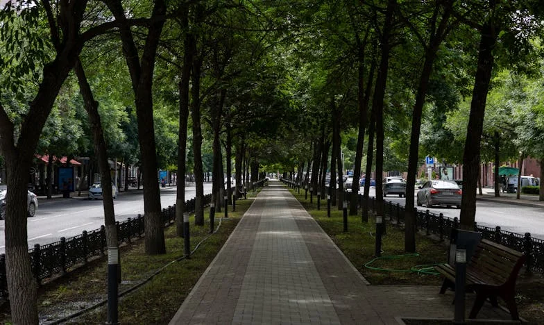 “Ik mag in jouw huis wonen om één simpele reden: ik heb je gebaard!” – Waarom ik niet wil dat mijn moeder bij mij blijft