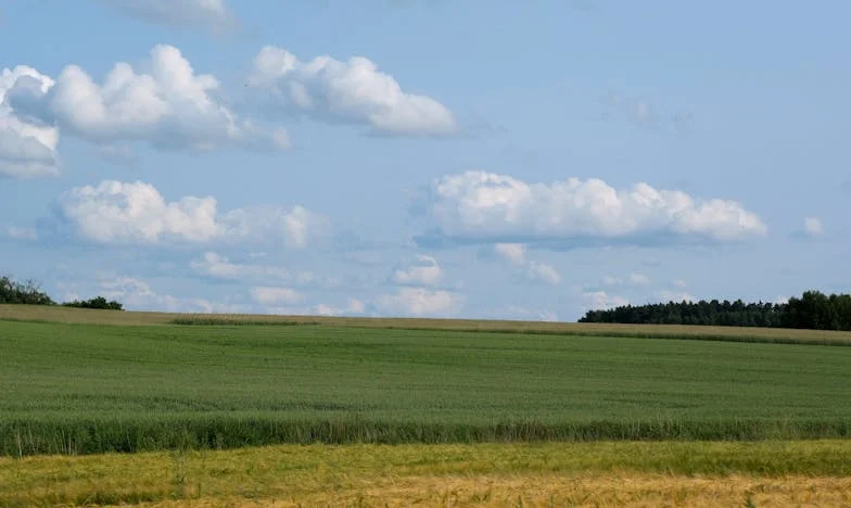 “Ik moest mijn dochter en schoonzoon uit huis zetten. Ik wilde alleen maar helpen, maar werd aan de kant geschoven”: Gastvrijheid die tegen mij keerde