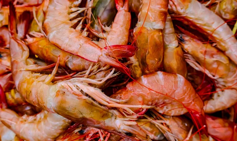 Ik weigerde op mijn kleindochter te passen en veroorzaakte een familieruzie. Ben ik echt egoïstisch?