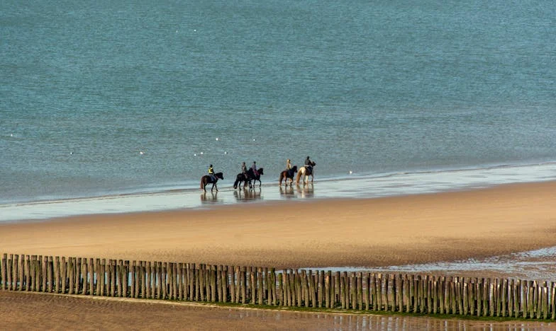 In de Schaduw van Vertrouwen: Een Onverwachte Gast aan Mijn Deur