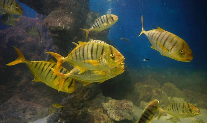 Liefde na mijn drieënzestigste: Een tweede kans of een dwaasheid?