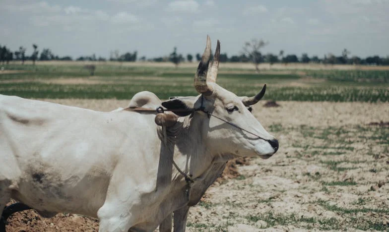 Mijn Dochter en Haar Man Trokken In: Nu Loop Ik Op Eieren in Mijn Eigen Huis