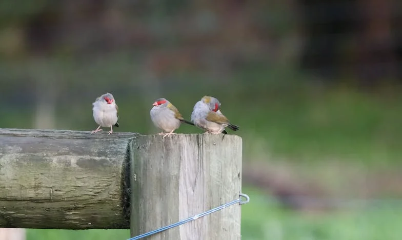 Onze Kinderen Willen Niet Meer Langskomen: Een Leven in Stilte
