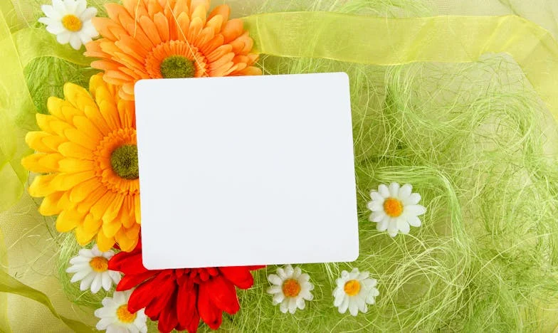 Oudjaarsavond op het Snijvlak: Liefde, Verlangen en de Prijs van Harmonie