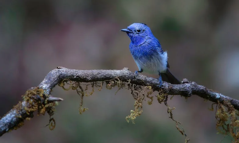 Toen Arjan mij verliet voor een jongere vrouw: Mijn eerste ademtocht van vrijheid