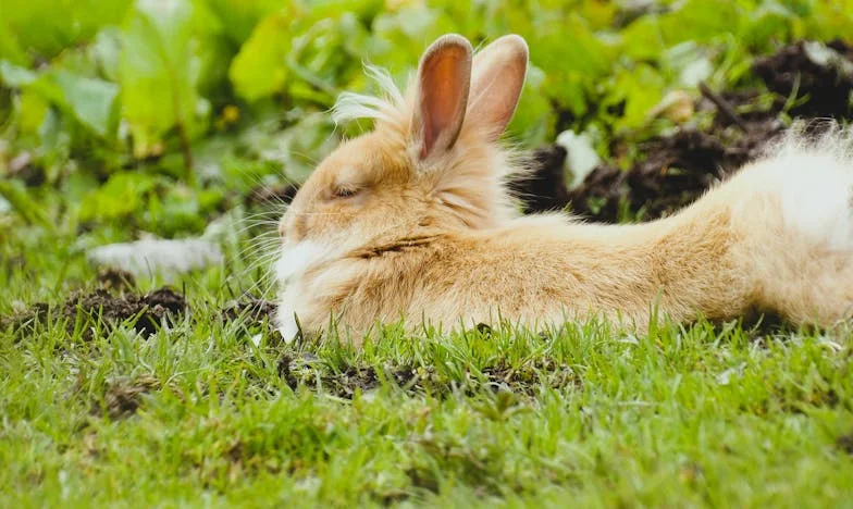 Toen ik moest kiezen tussen brood op de plank en mijn dochter: het verhaal van Marieke en Lotte
