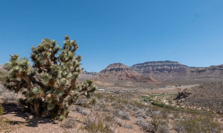 Tussen Liefde en Loslaten: Mijn Leven in de Schaduw van Familiegeheimen
