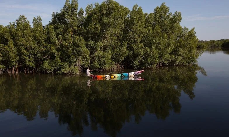 Tussen Liefde en Loyaliteit: Mijn Leven met Damiaan en Zijn Zoon
