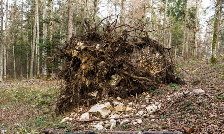 Twee Jaar Getrouwd met een Gescheiden Man: Nu Sta Ik Op Het Punt Te Scheiden – Zijn Dochter en Haar Toekomst Duwen Ons Tot Het Randje
