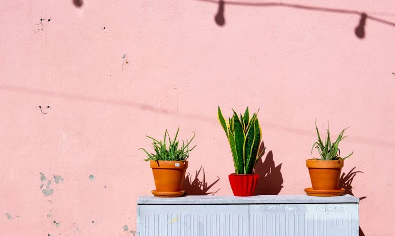 Twintig jaar samen, één waarheid te laat: het geheim van mijn man