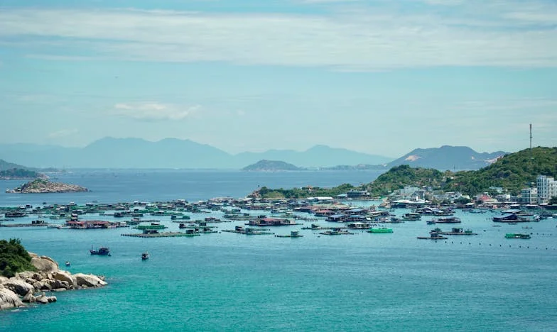 “Vergeet me niet: Een Moeder Verdwijnt”