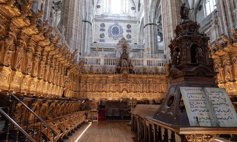 Vergeten door Iedereen: Het Verhaal van Oma’s Laatste Wil