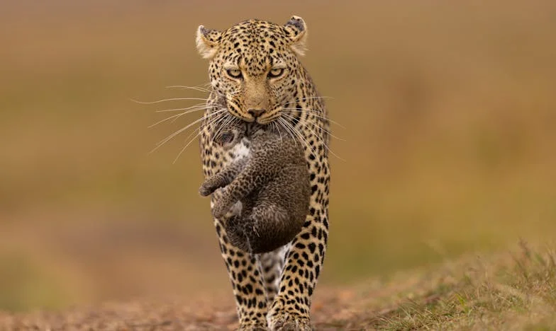 Vergeven of niet? Mijn worsteling met oma's schaduw