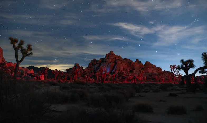 Wanneer het klaslokaal een slagveld wordt: Mijn verhaal over zwijgen, strijd en familie