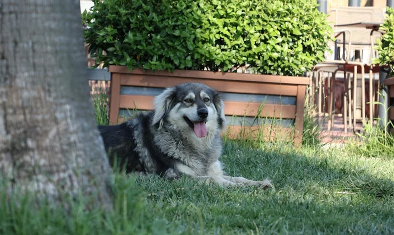 Wanneer Samengestelde Gezinnen Botsen: Een Oplossing Die Ons Verscheurde