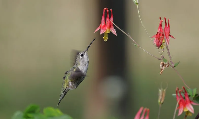 Zoon Zo Beschaamd Voor Zijn Ouders Dat Hij Ze Niet Op Zijn Bruiloft Wil