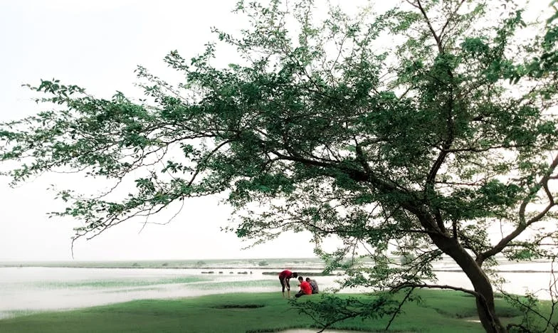 De kist met de geheimzinnige ring – een familiegeschiedenis vol leugens en keuzes