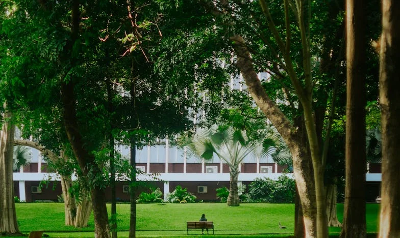 De nacht dat ik Emma verloor: Bekentenissen van een oma verscheurd tussen schuld en vergeving