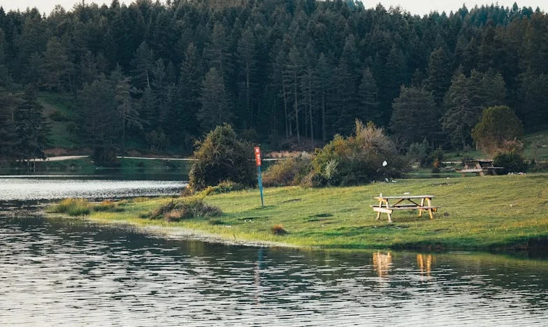 De Onuitgenodigde Gast: Een Nacht die Mijn Familie Veranderde