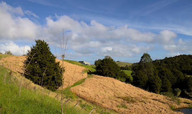 De Prijs van Vrede: Mijn Huwelijk op het Spel