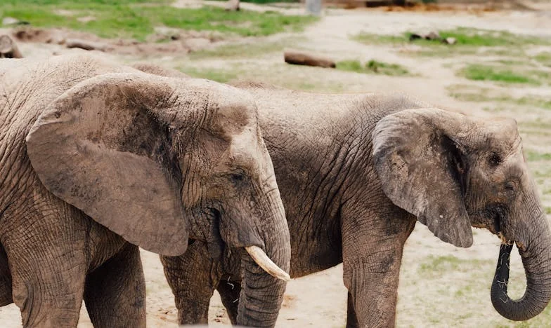 De schaduw van een ander: Mijn leven tussen liefde en verraad