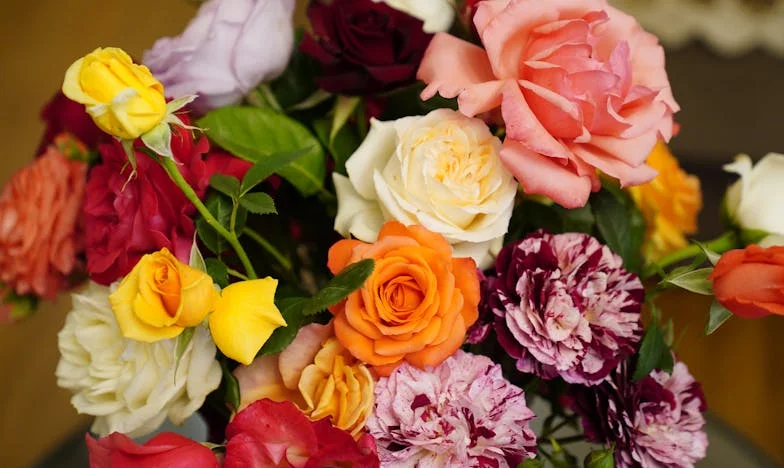 De Schaduw van Mijn Schoonmoeder: Hoe Eén Beslissing Mijn Gezin Op Zijn Kop Zette