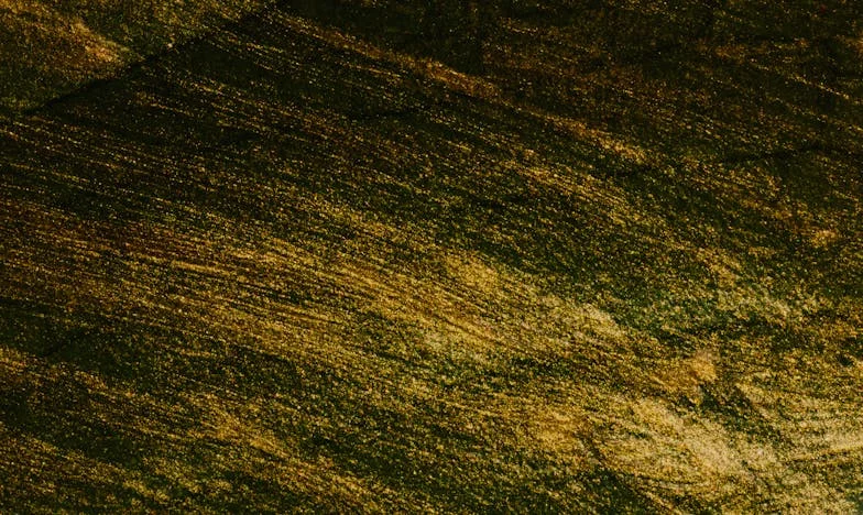 Een Zoon, Een Keuze: De Dag Dat Alles Veranderde