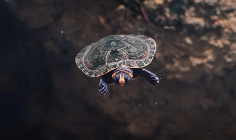 Gesloten deuren: Ik voel me een vreemde in hun leven