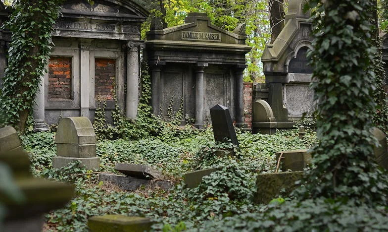 Het Testament dat Alles Veranderde: Een Familiegeheim Ontrafeld