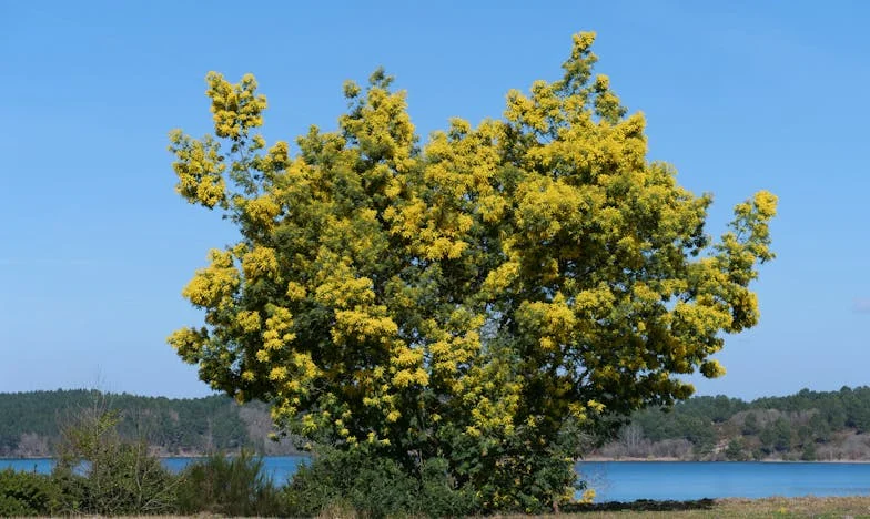 “Ik kan mijn zoon niet meer bij zijn oma achterlaten na wat ze heeft gedaan”: Een moeder worstelt met verraad binnen haar eigen familie