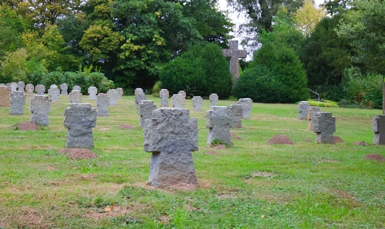 „Je hoort hier niet meer thuis, oma” – Mijn strijd om niet vergeten te worden