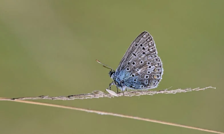 Mijn Buren Denken Dat Ik Altijd Wel Op Hun Kind Kan Passen: Hoe Zeg Ik Dat Het Genoeg Is?