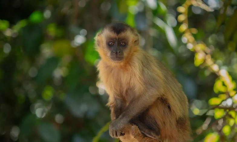 „Neem de kinderen mee, maar vergeet je portemonnee niet“: Wanneer familie meer is dan een bezoekje