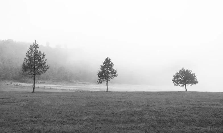 Nikola, haast je niet met trouwen: Hoe ik ontsnapte aan een familie die mij wilde bezitten