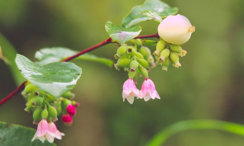 Onverwachte Gasten: Hoe Mijn Schoonvader Ons Huwelijk Op de Proef Stelde