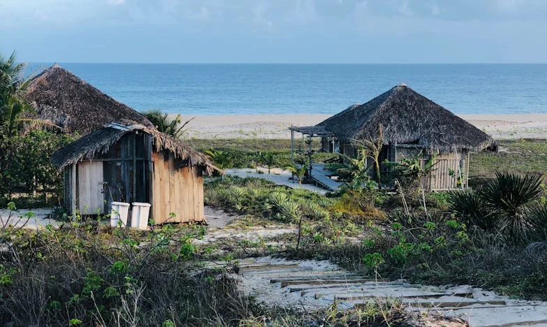 “Op mijn zestigste voelde ik me overbodig: het lege nest en de stilte die achterbleef”