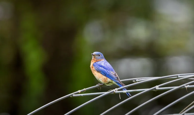 Toen ik de ware aard van mijn schoonmoeder ontdekte
