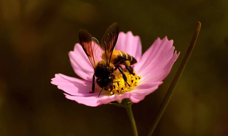 Verloren en Gevonden: Hoe Mijn Fouten Mijn Familie Bijna Verwoestten