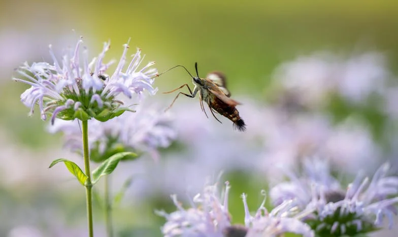“Waarom ben ik vergeten door mijn eigen kinderen?”: Het verhaal van een moeder die alles gaf