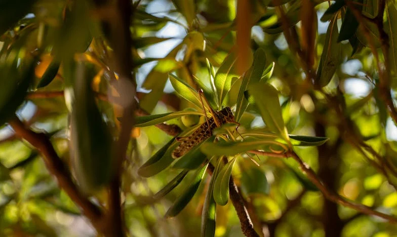 “Waarom ben jij zo egoïstisch?” – Mijn strijd om kinderloos te blijven in een familie vol verwachtingen