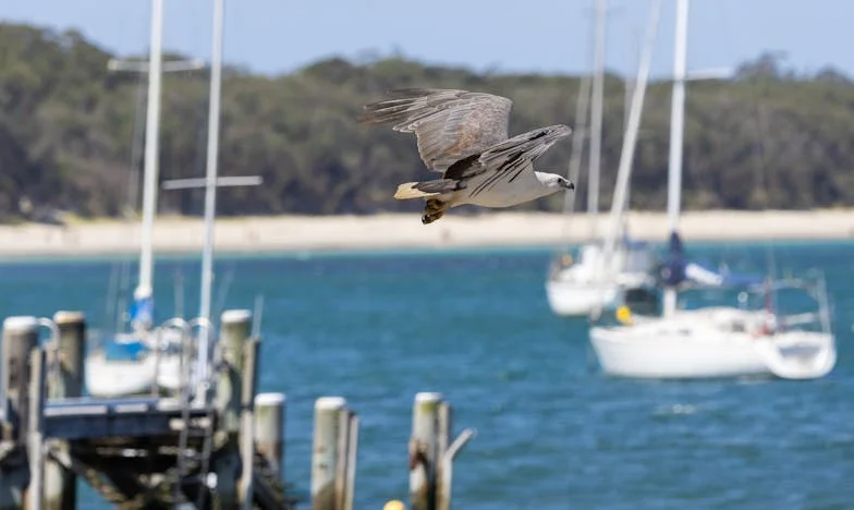 Wanneer alles instort: Het verhaal van Marloes, haar schoonmoeder en onverwachte zorg