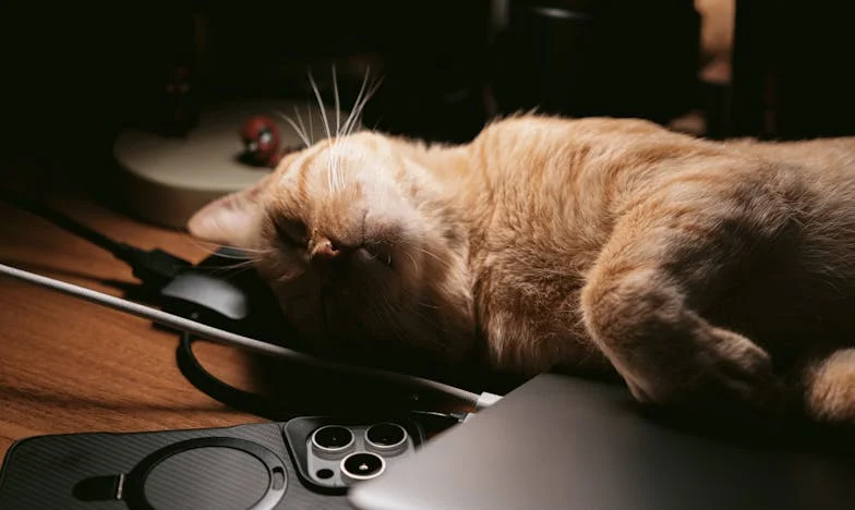 Wanneer je schoondochter volwassen moet worden: Een moederhart in tweestrijd