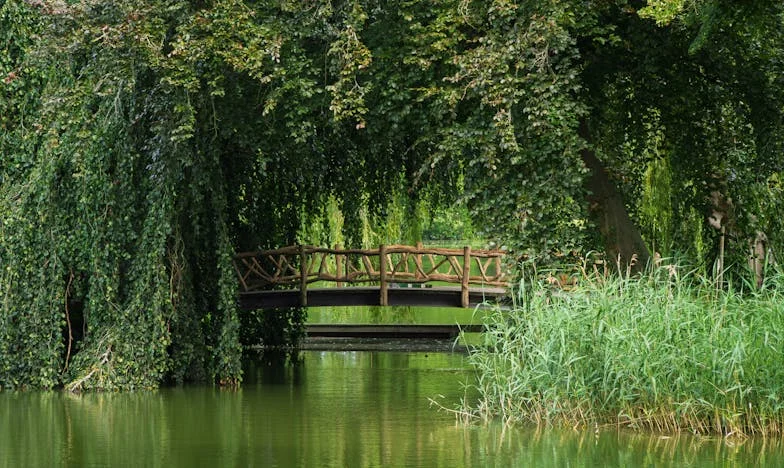 Wanneer Succes Splijt: Laura's Strijd tussen Liefde en Ambitie