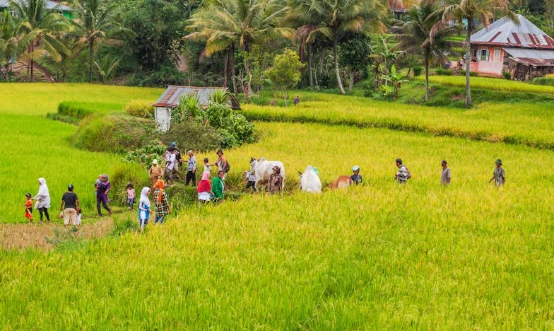 “Breng de kleinkinderen mee, maar vergeet je portemonnee niet”: Een familiegeheim in de tuin